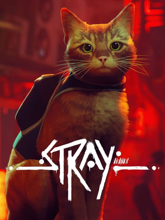 Stray cover art
